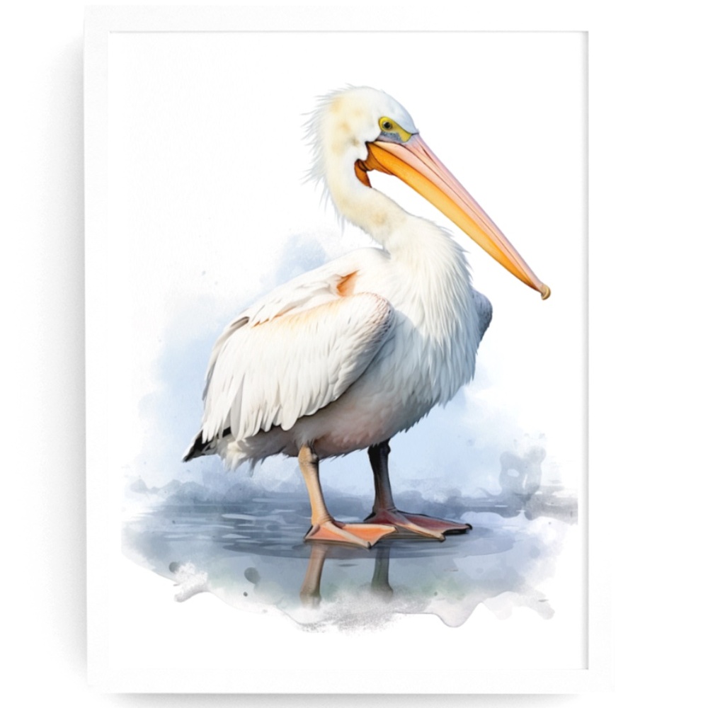 White Pelican Bird Wall Art Watercolor Illustration Print Poster Unframed